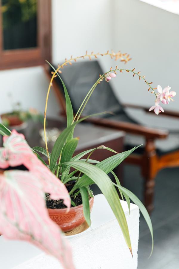 Bedspace อูนาวาตูนา ภายนอก รูปภาพ